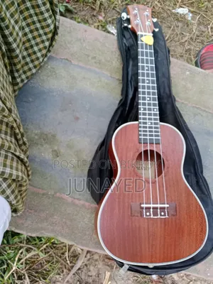 Ukulele 24