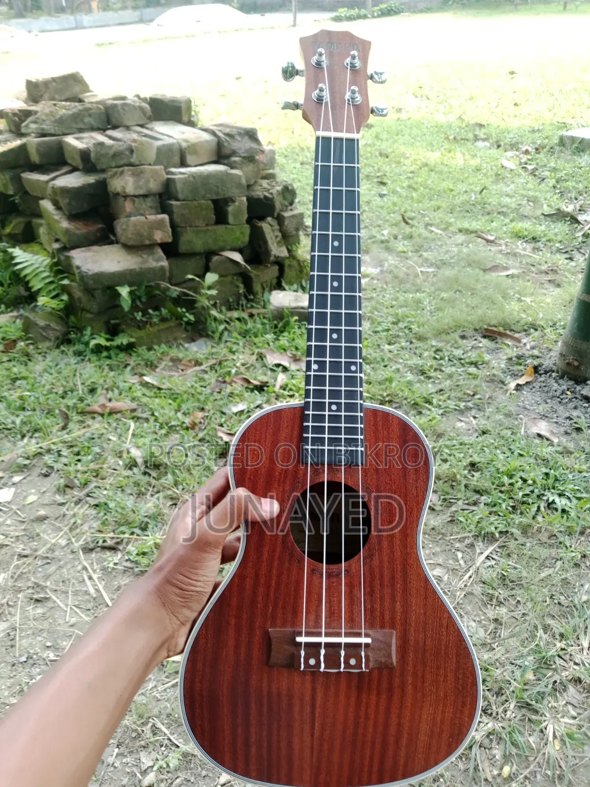 Ukulele 24
