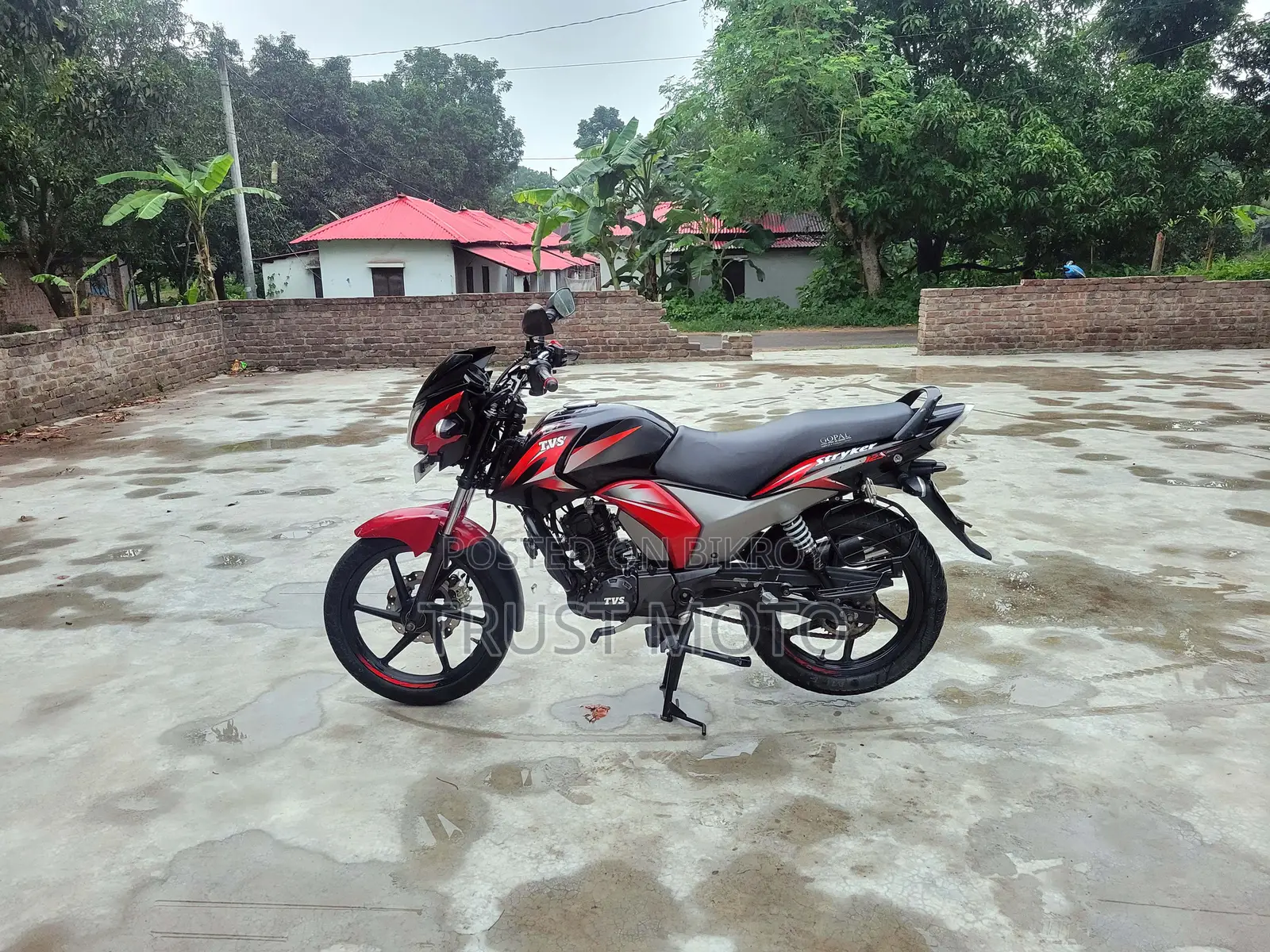 TVS Stryker 125 2022 Red