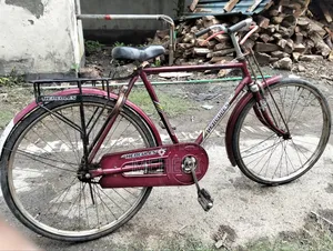 I want to sell a Duronto bicycle