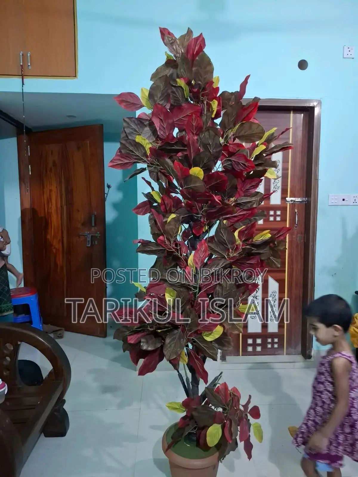 সোফার কোণার সাজসজ্জার জন্য দুটি গাছ বিক্রয় হবে
