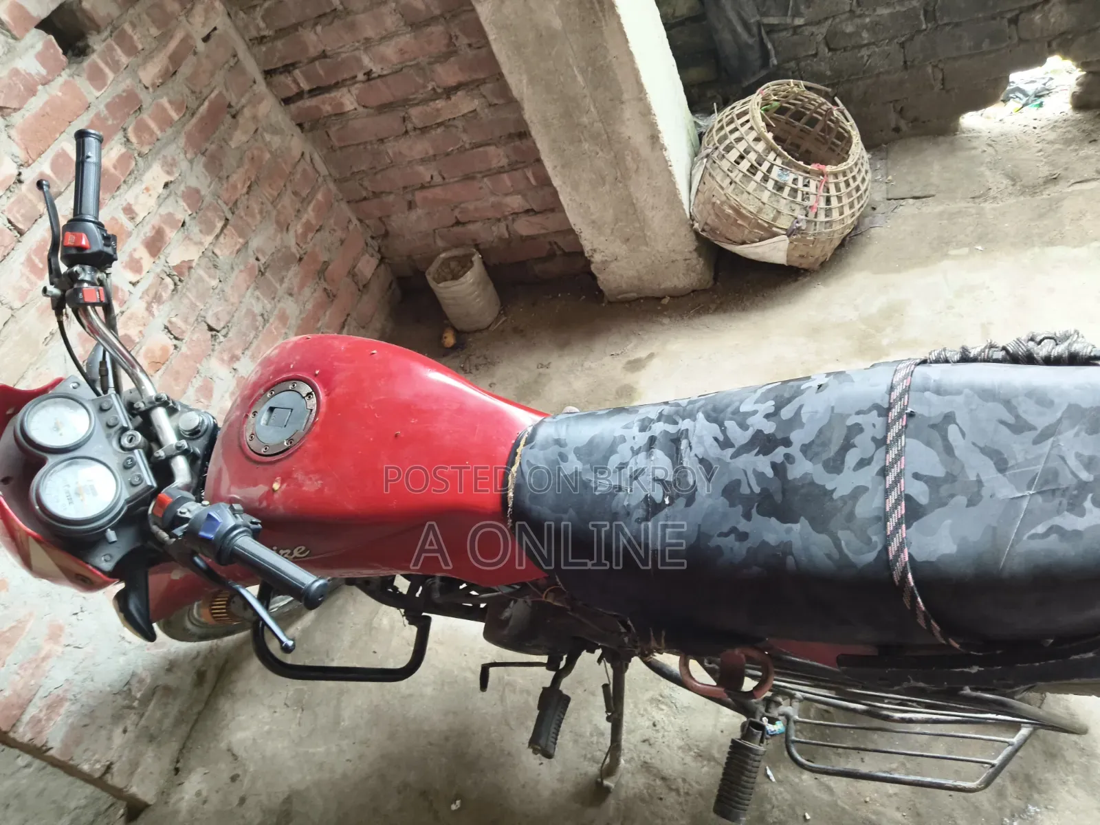 Walton Cruize 2014 Red