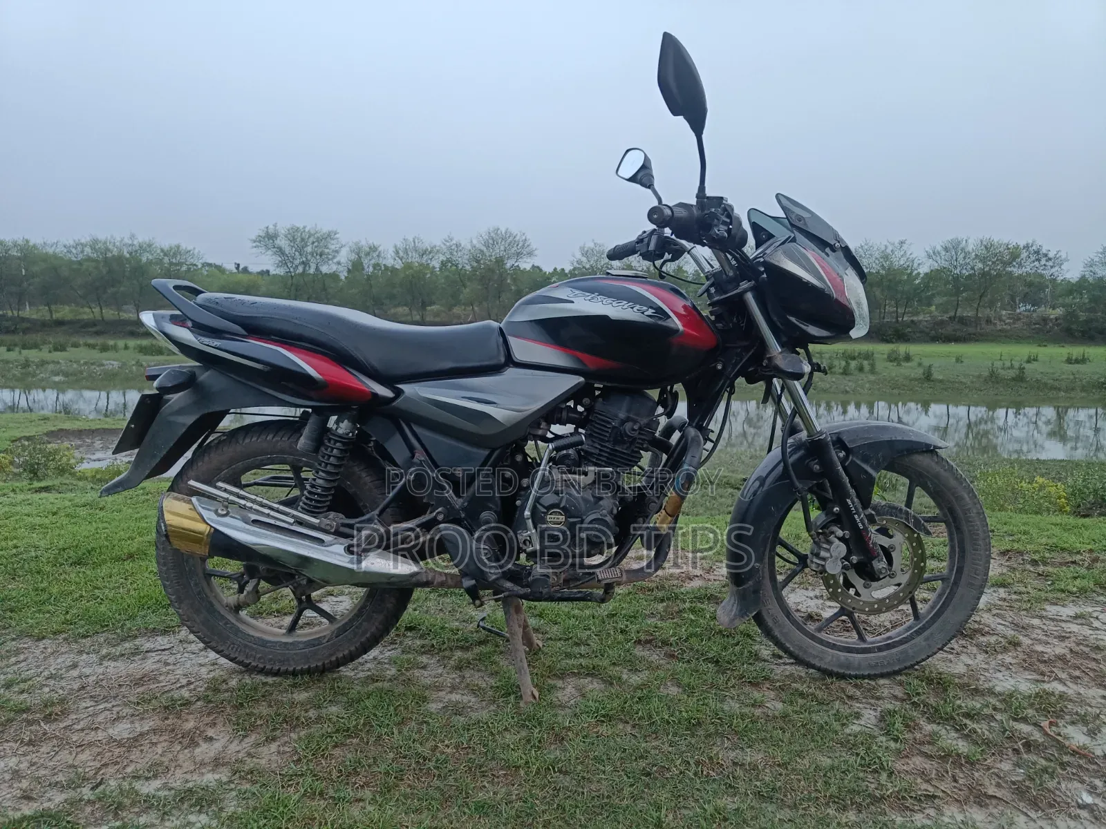 বাজাজ ডিসকভার ১২৫ ২০১৯ রেড