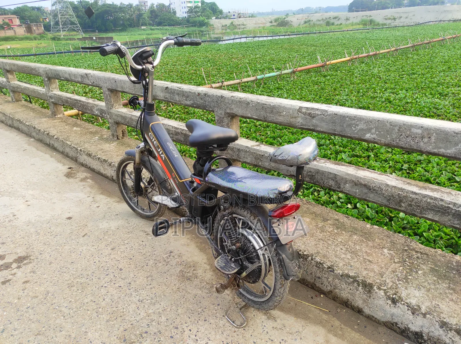 Electric Bicycle