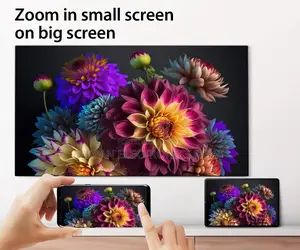 Android 55" Inch Smart Google Play, Web Browser, YouTube (Sony Plus TV)