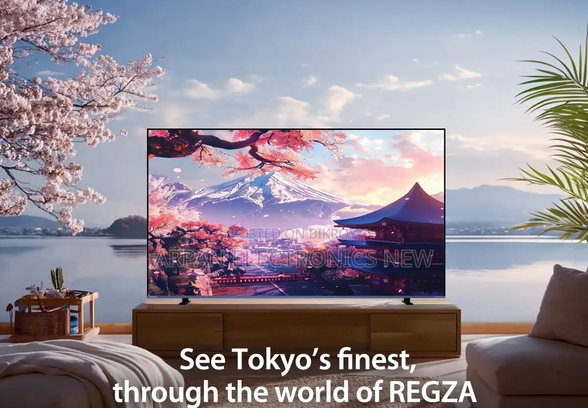 Android 65-Inch Smart LED HD Television (Sony Plus) Analog and Digital