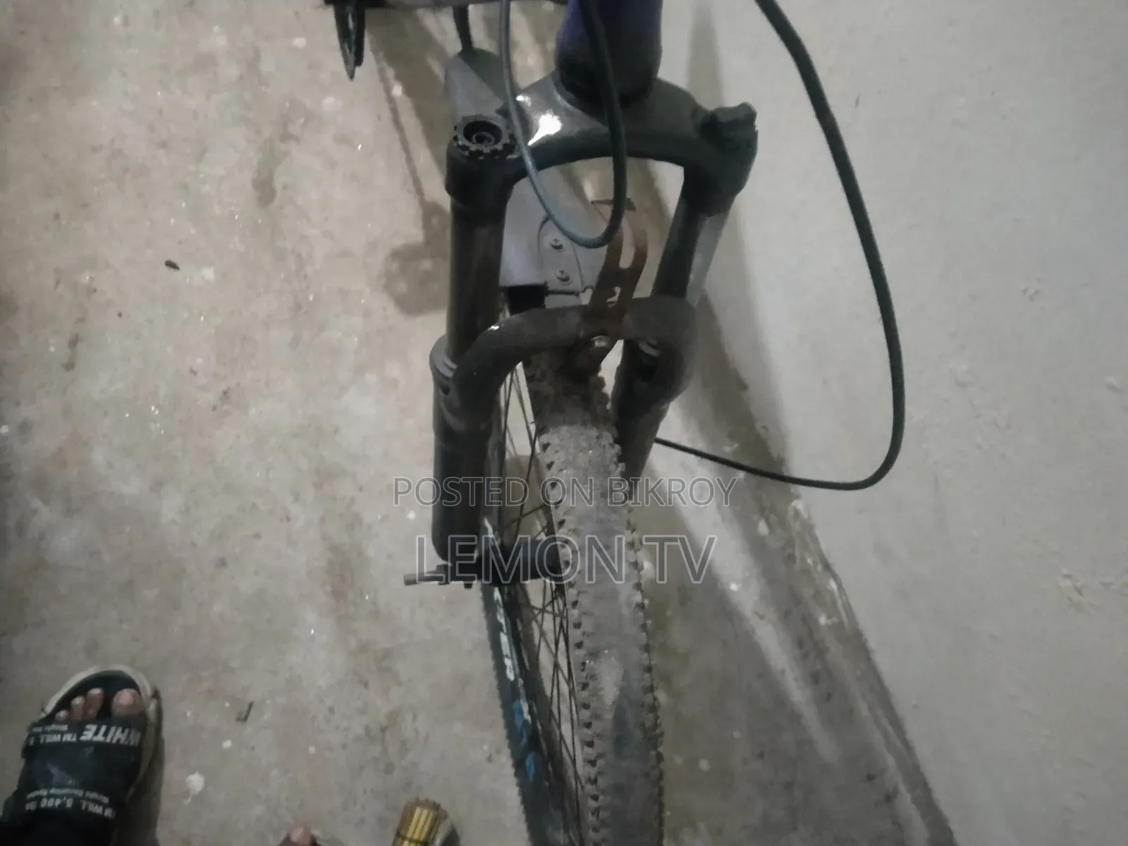 Cycle for Sale