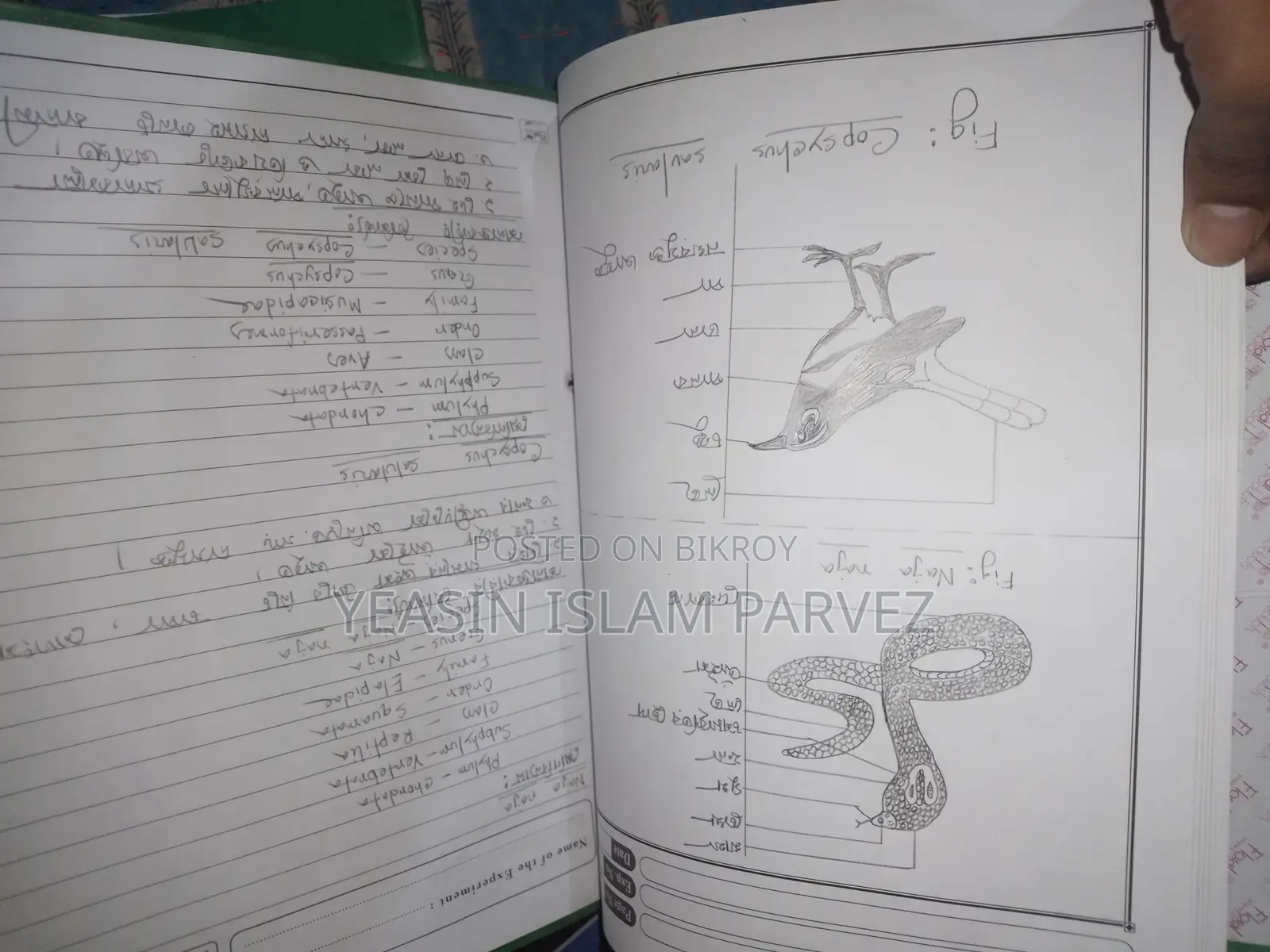 প্র্যাকটিক্যাল খাতা
