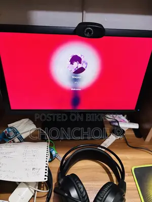 Dell 18.5 Monitor