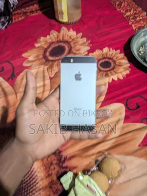Apple iPhone 5s 32 GB Gray