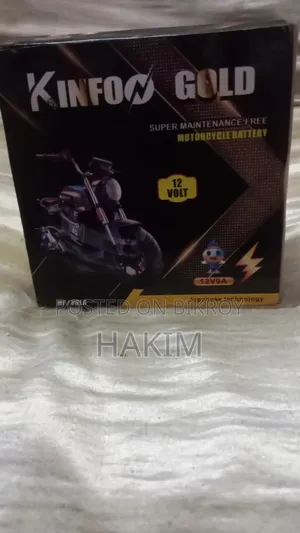 Motorcycle Battery