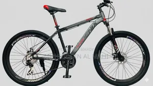 Phoenix Duster A bicycle for sale - used for only 1 month