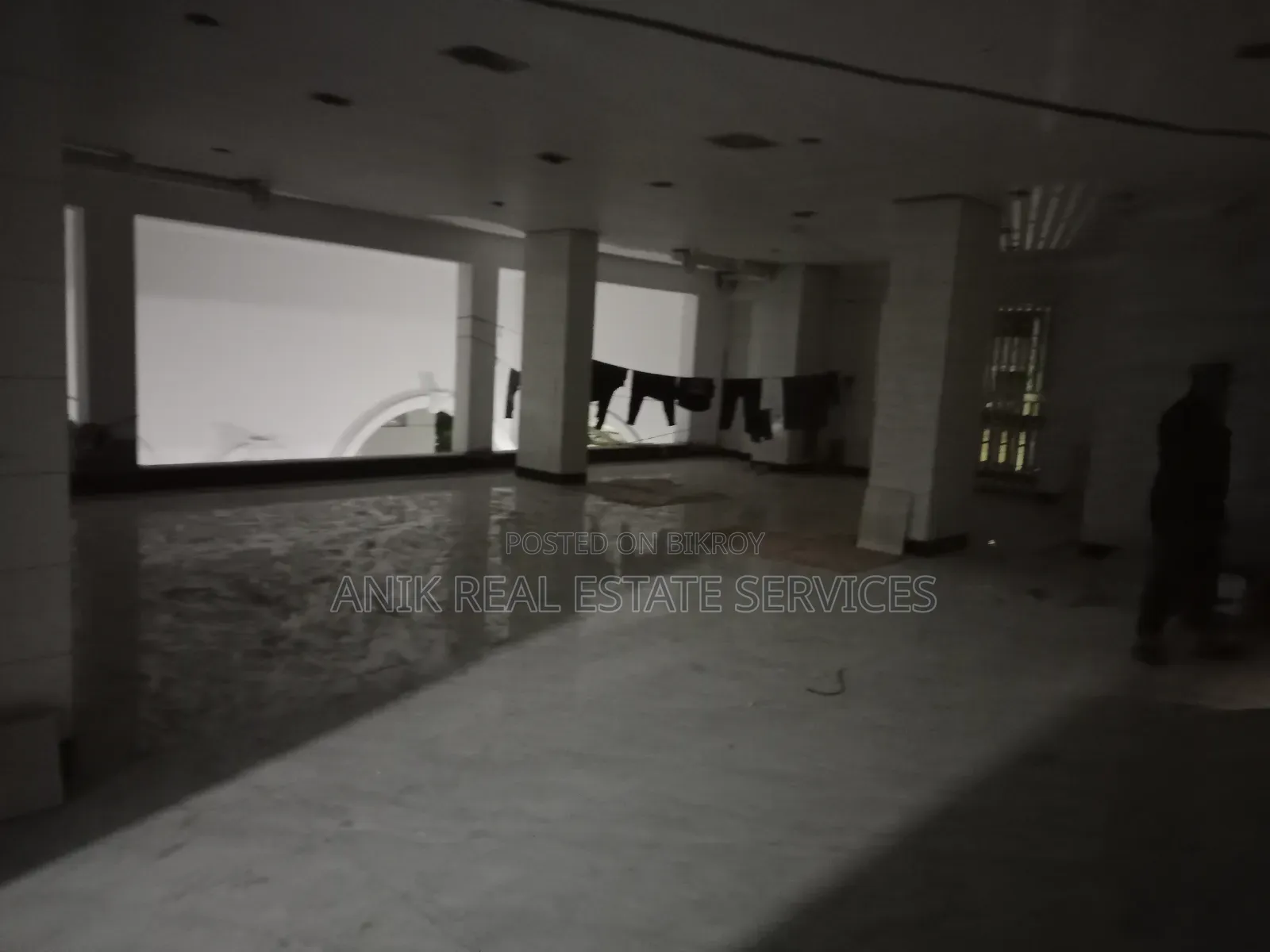 20-bedroom House in Anik Real Estate, Gulshan for Rent