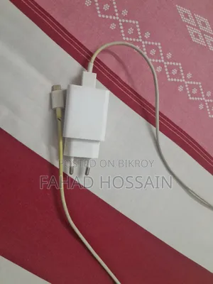 Xiaomi Authentic Adapter 33w