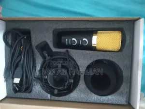 Microphone
