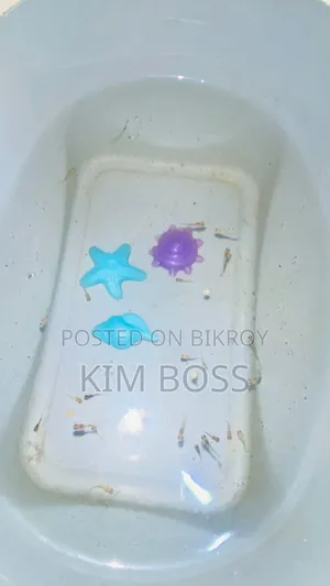 Selling Fish Babies
