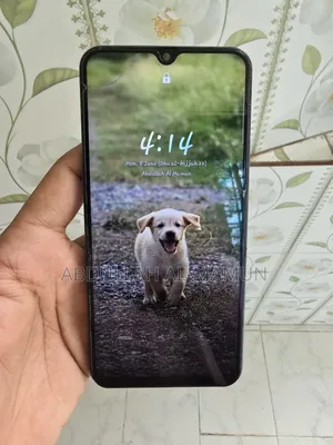 Samsung Galaxy A30 64 GB Blue
