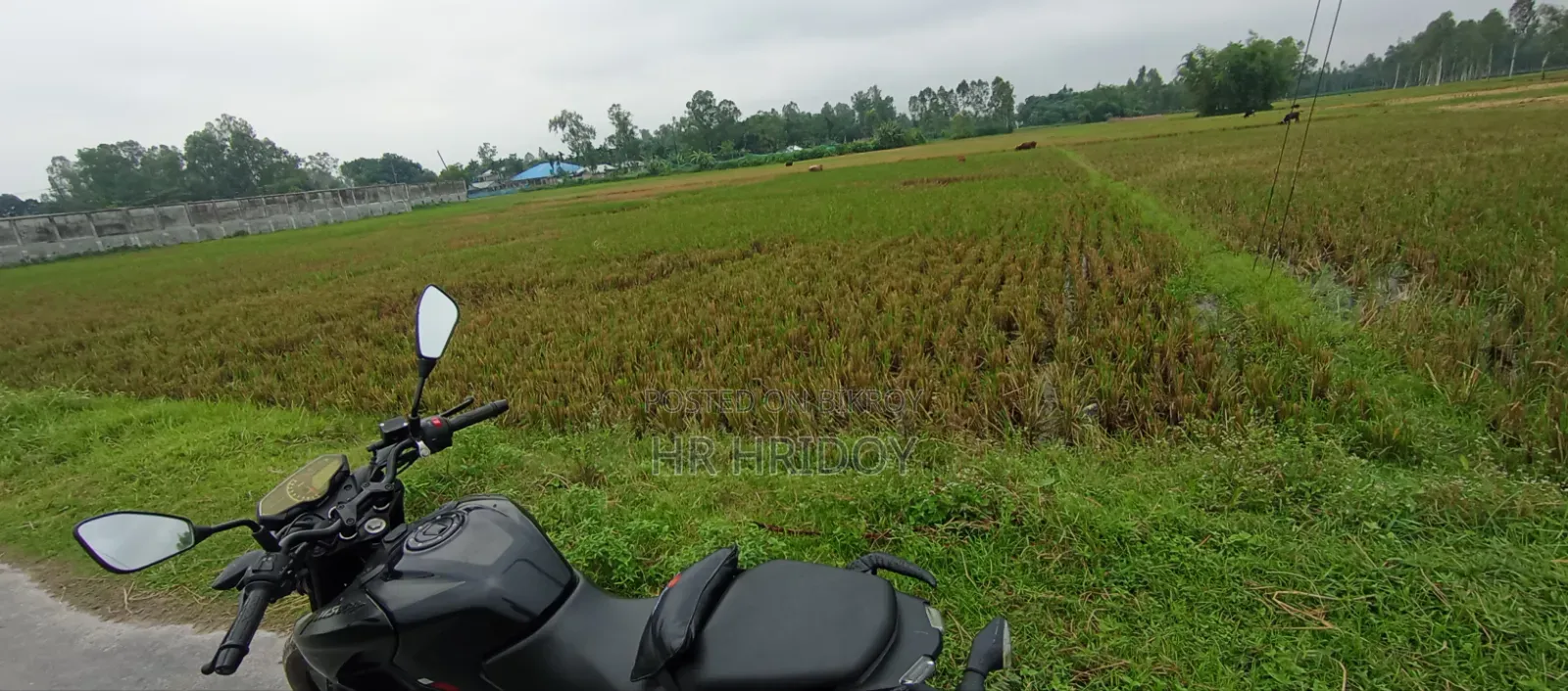 Land for sale
