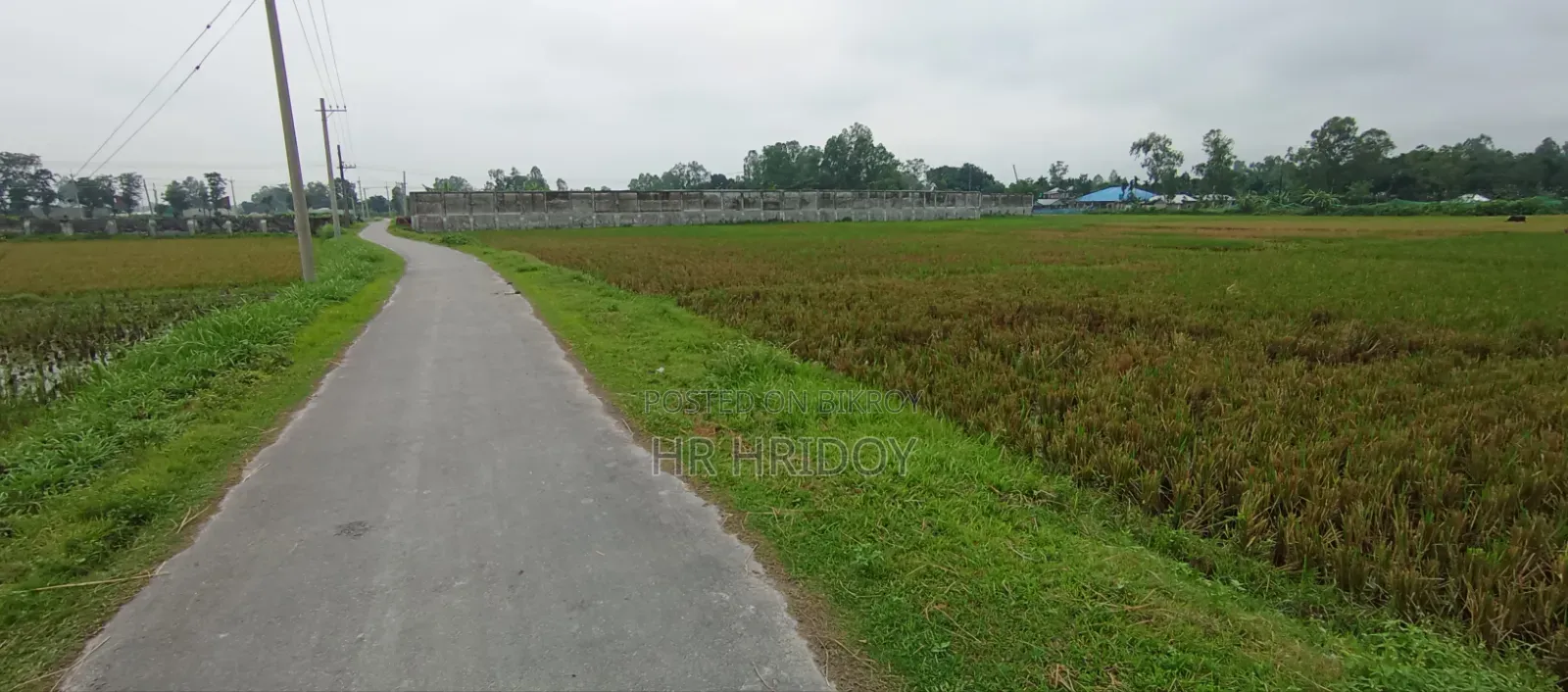 Land for sale