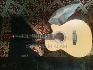 Acoustic Guitar