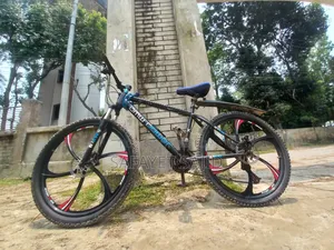 বিএমডব্লিউ বাইসাইকেল