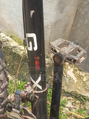 বিএমডব্লিউ বাইসাইকেল