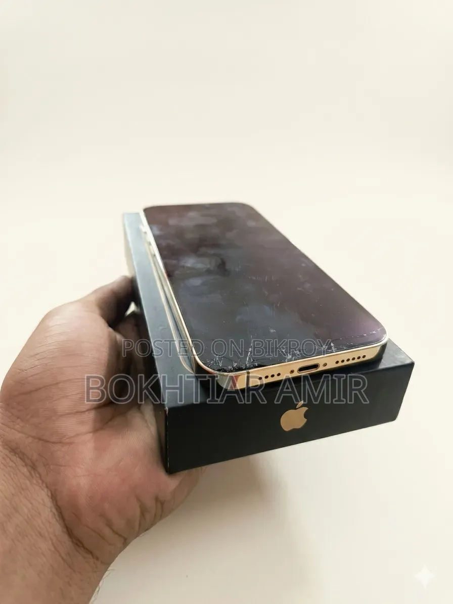 Apple iPhone 12 Pro Max 256 GB Rose Gold