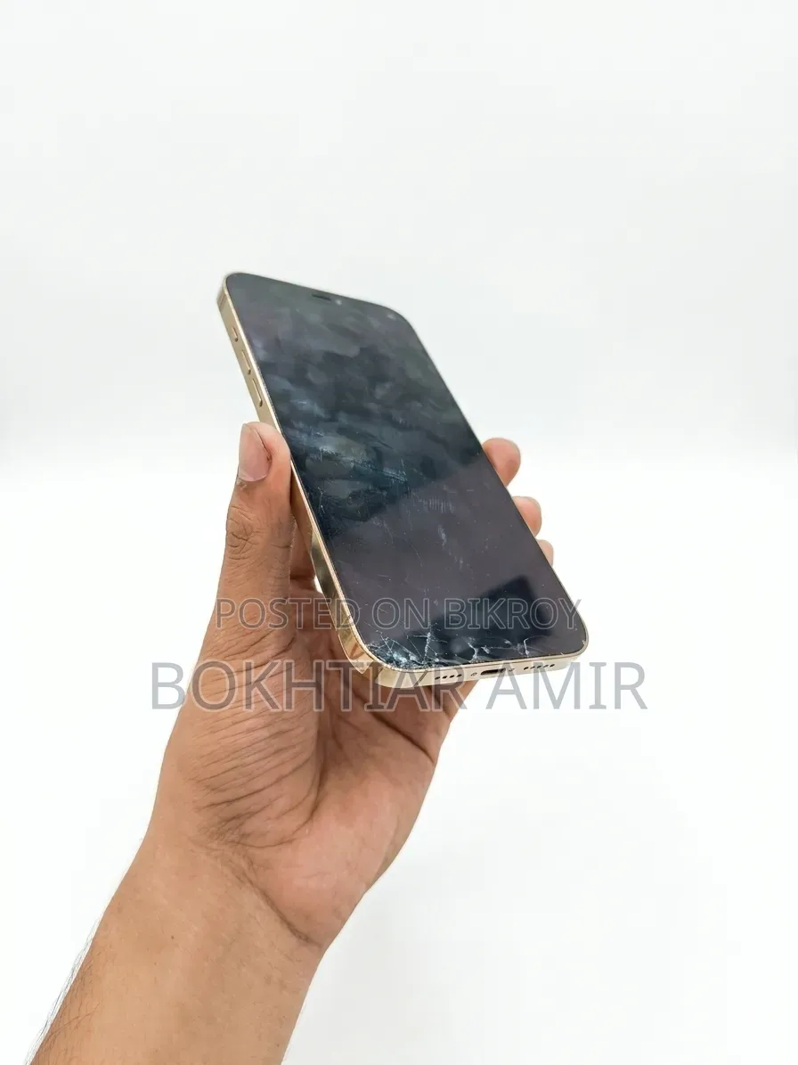 Apple iPhone 12 Pro Max 256 GB Rose Gold