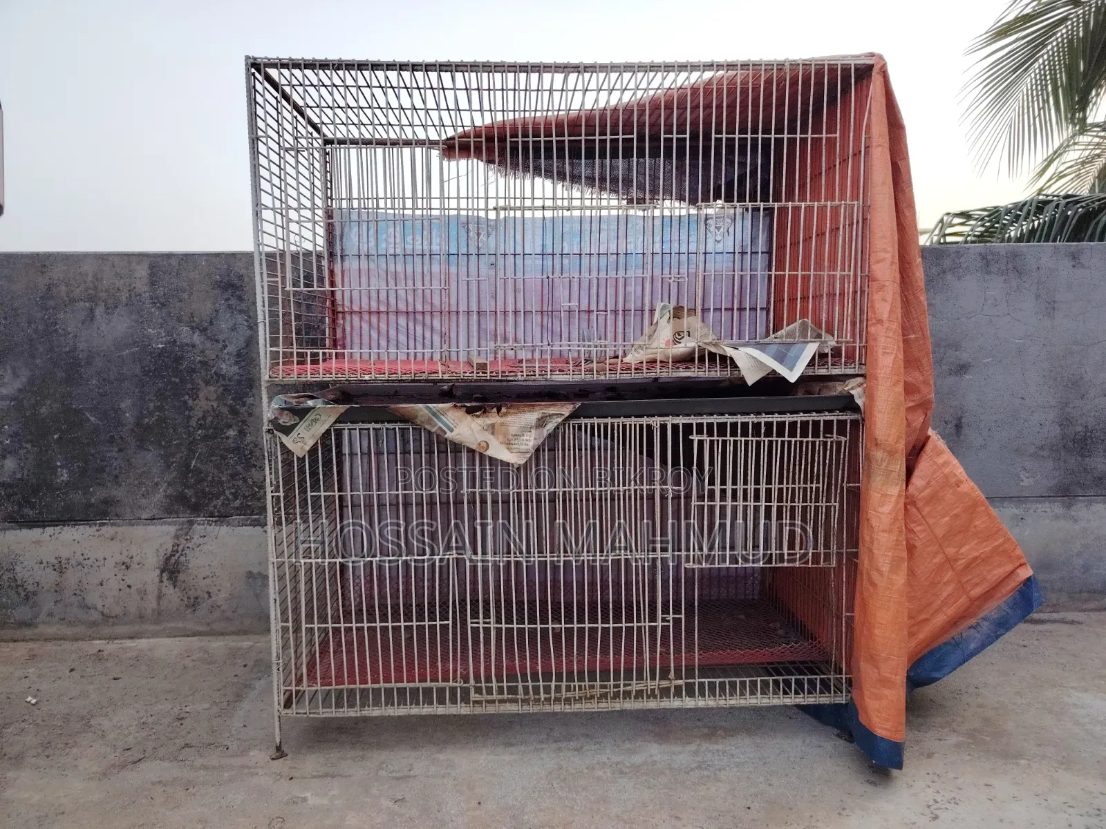 Pigeon and Bird Cage for Sale