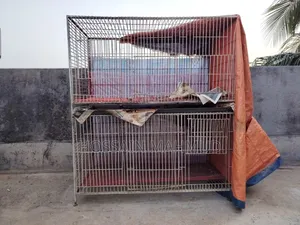 Pigeon and Bird Cage for Sale