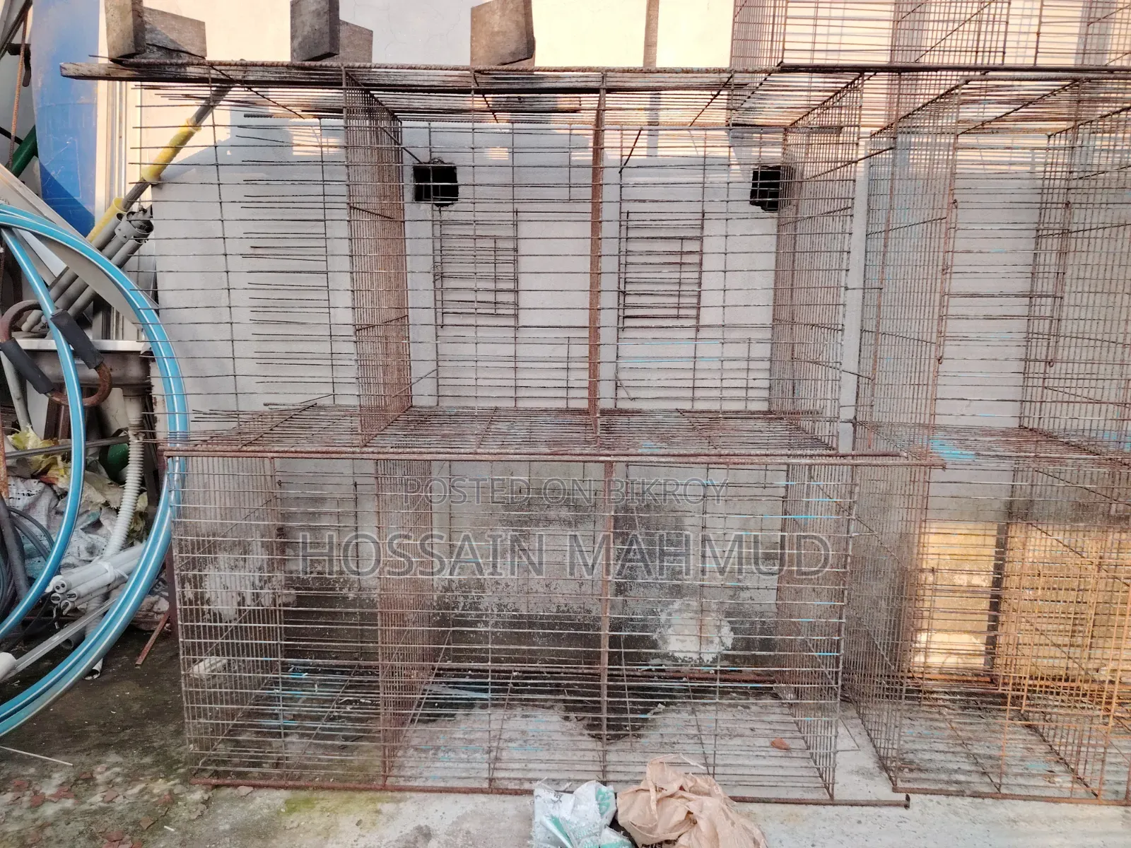 Pigeon and Bird Cage for Sale