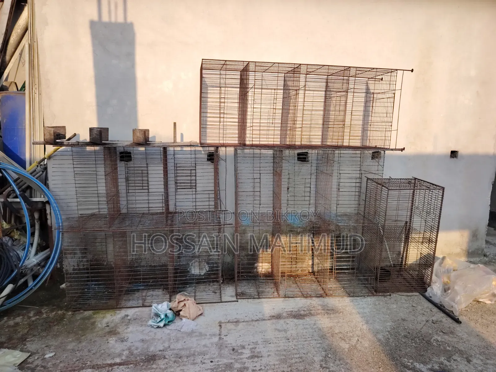 Pigeon and Bird Cage for Sale