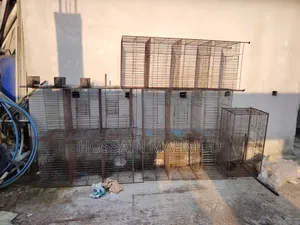 Pigeon and Bird Cage for Sale