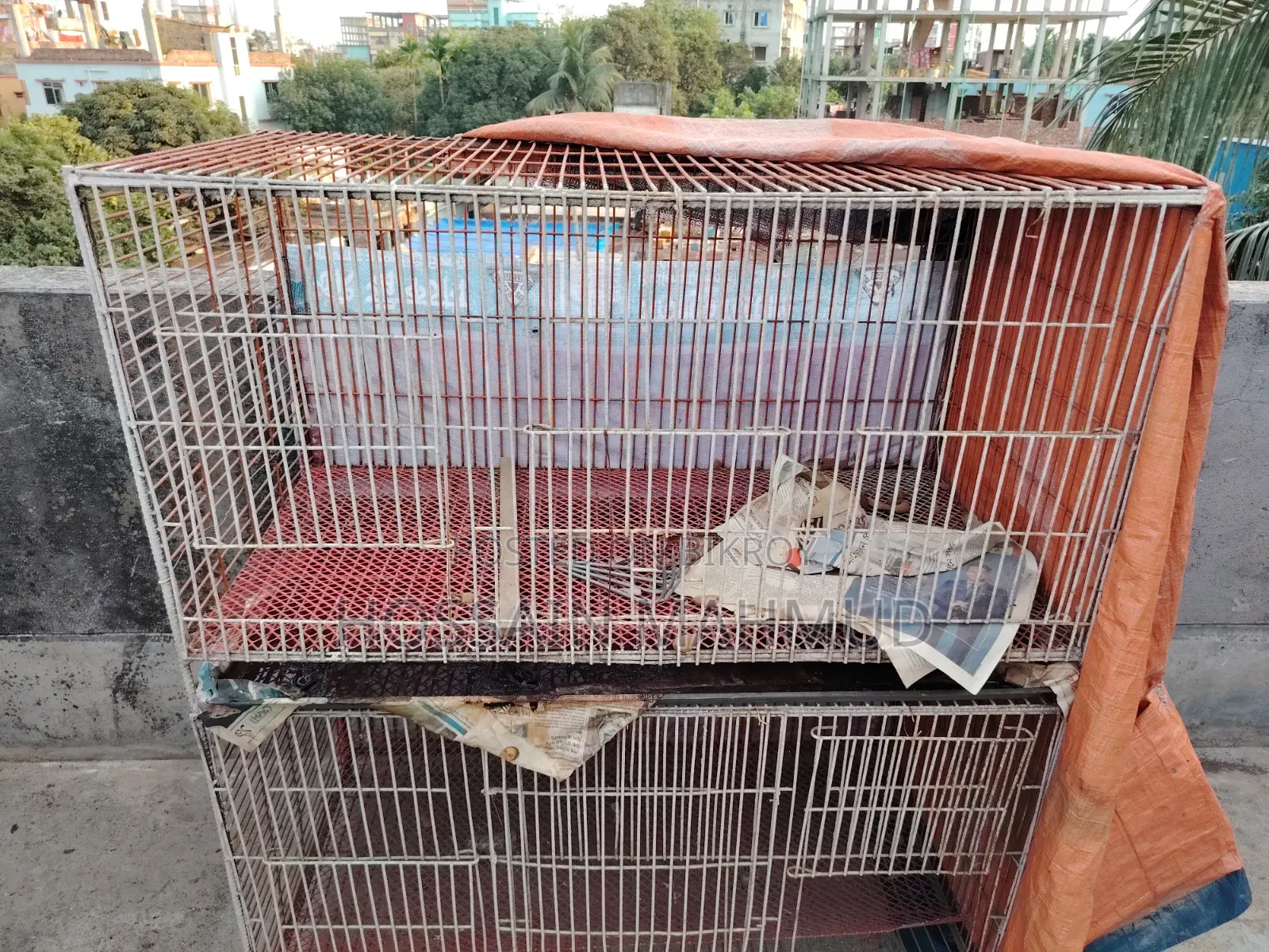Pigeon and Bird Cage for Sale