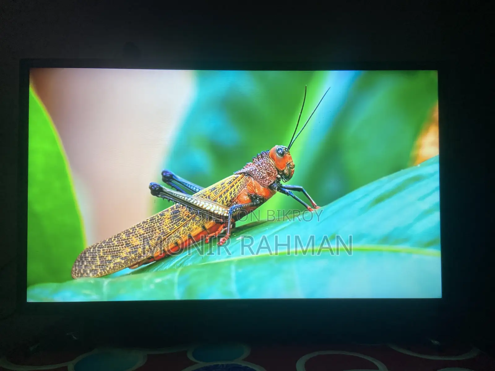 TV Please do not bargain unnecessarily