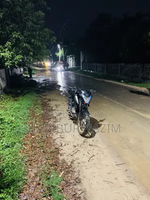 Bajaj Pulsar NS 160 2019 Black