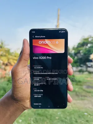 Vivo X200 Pro 512 GB Silver