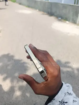 অ্যাপল আইফোন ১৩ প্রো ম্যাক্স ২৫৬ জিবি রোজ গোল্ড