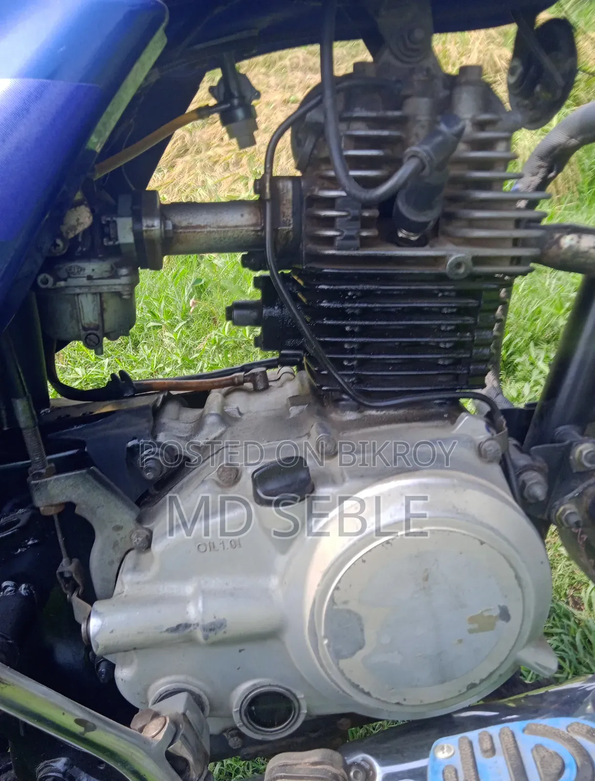 Bajaj CT 100 2017 Blue