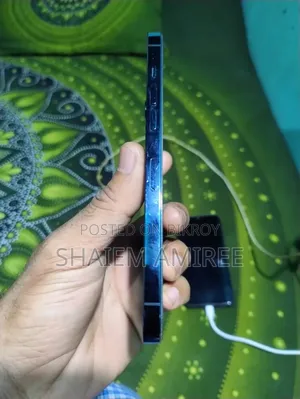 Apple iPhone 12 Pro Max 256 GB Blue