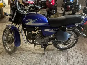 Hero Splendor 110 ২০০১ নীল