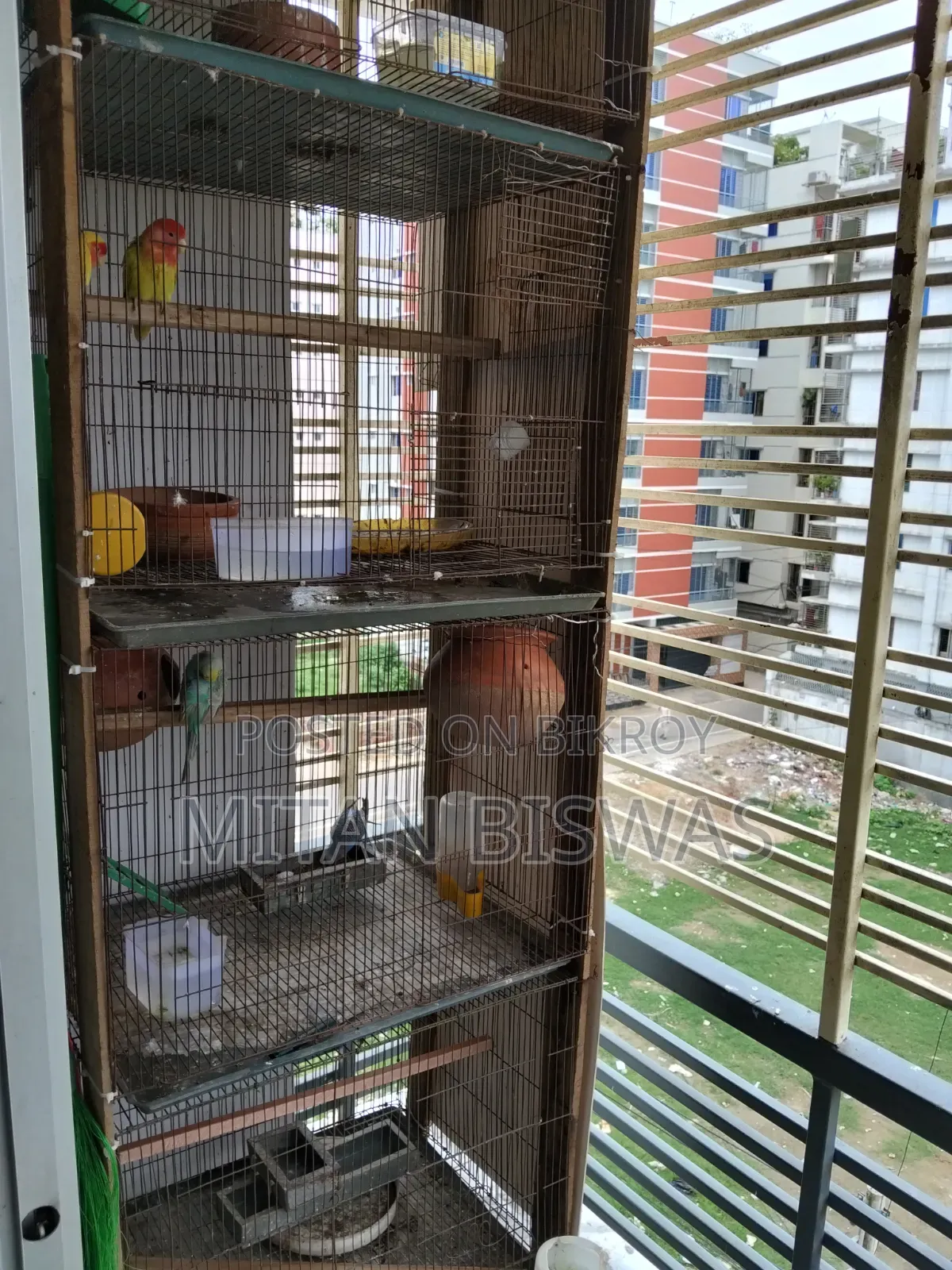 Cage for Sale