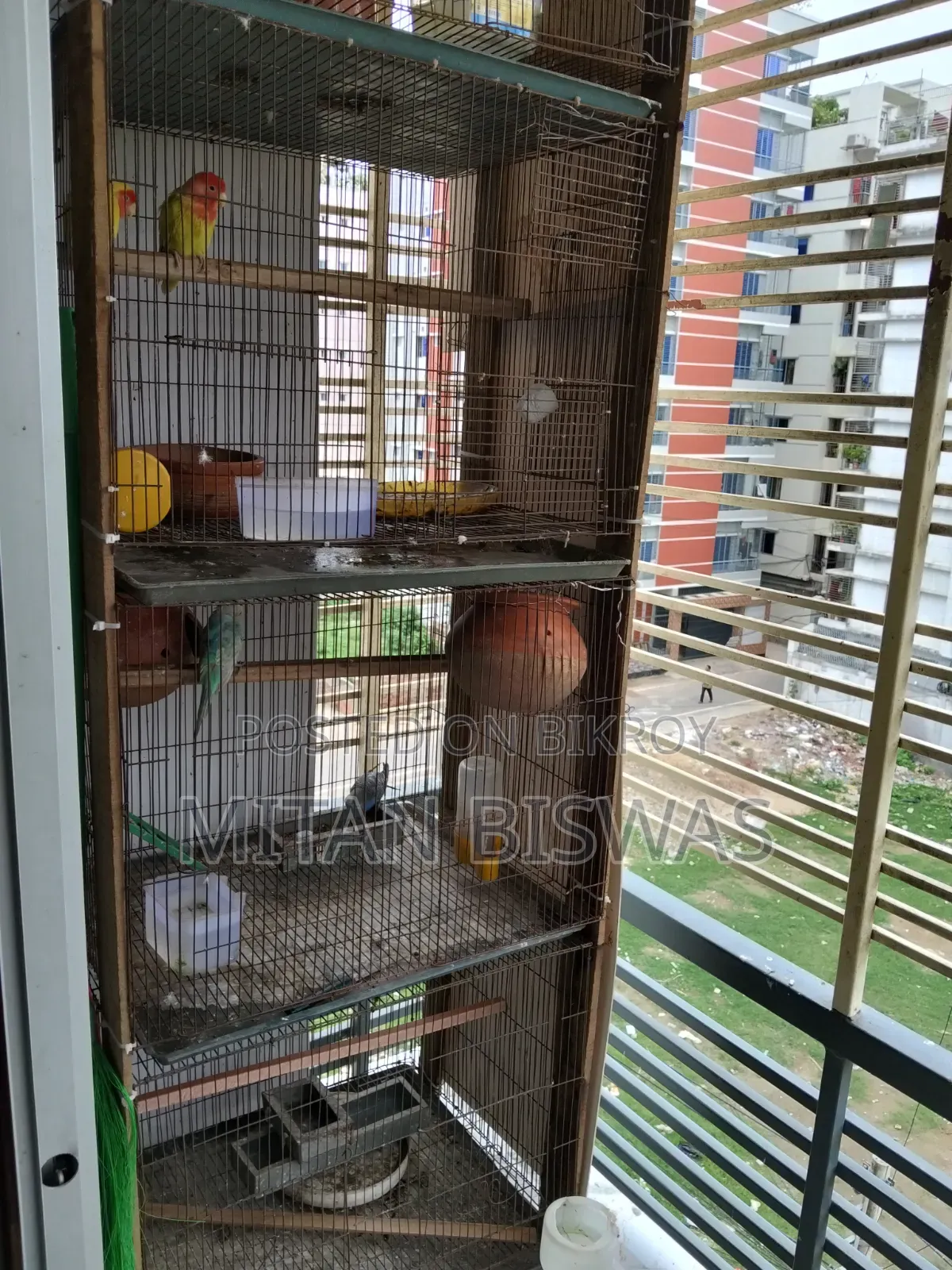 Cage for Sale