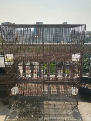 Cage for sale.