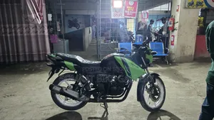 TVS Apache RTR 160 2V 2015 Green