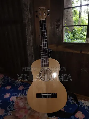 গিটার বিক্রি