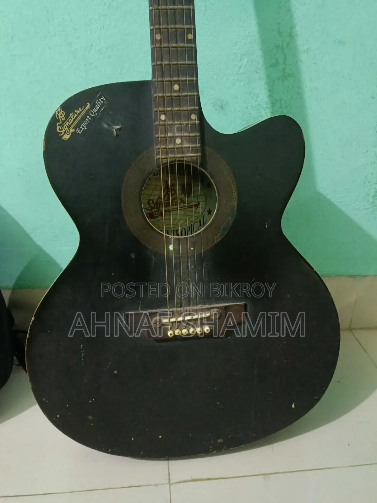 Signature Guitar