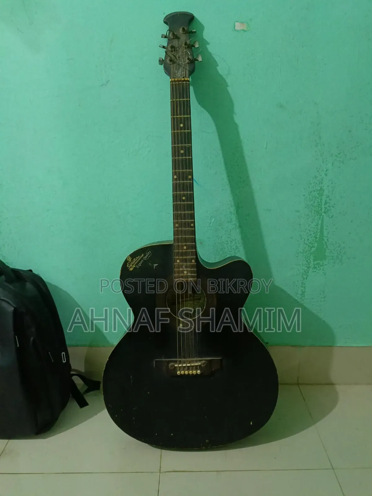 Signature Guitar