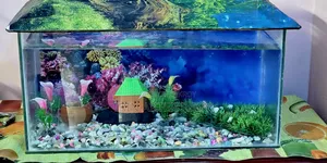 Fish Aquarium (46×21×35) Centimeters