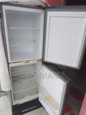 ফ্রিজ ইলেক্ট্রা কোম্পানি